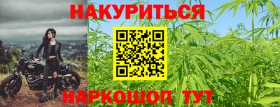 гидропоника Будённовск